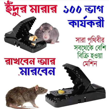 4 -Pc Mouse Killer Trap