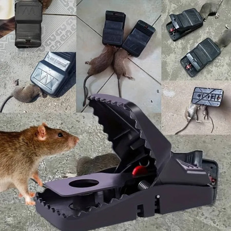 6 -Pc Mouse Killer Trap
