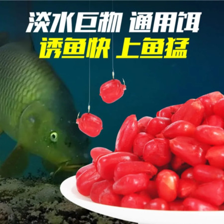 400 - Pc Fishing Top - ফ্রী ডেলিভারি